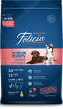 Felicia Puppy Large Breed 15kg